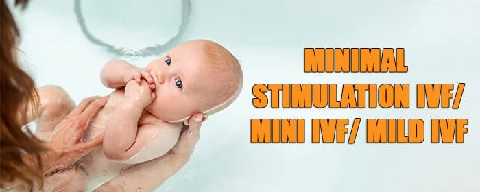 Minimal Stimulation IVF